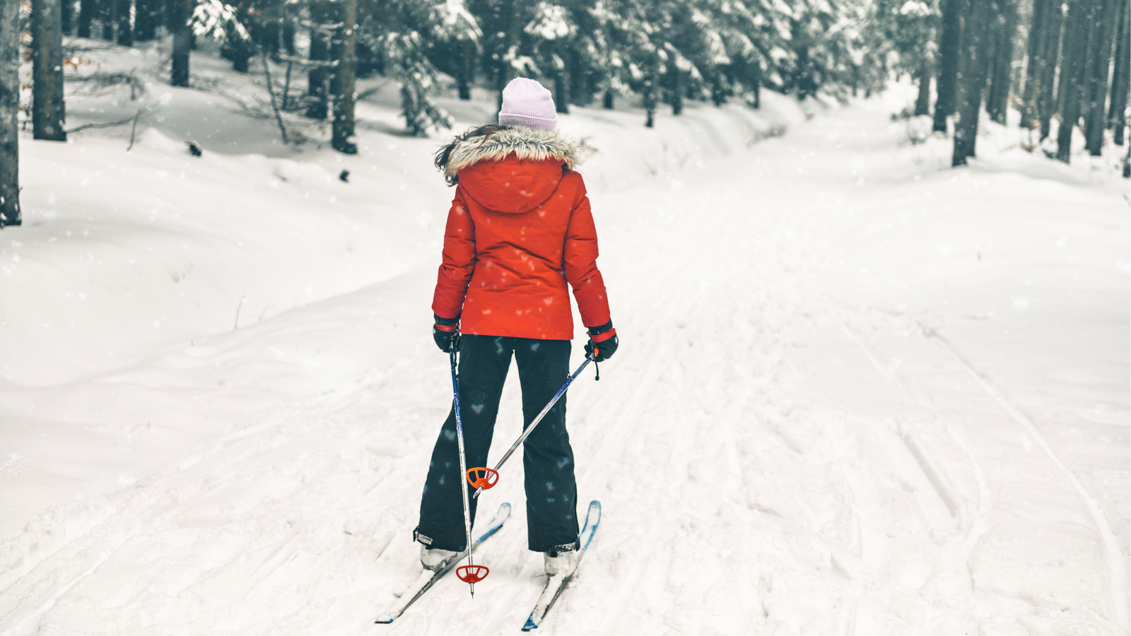 Can You Downhill ski with Cross-country skis?